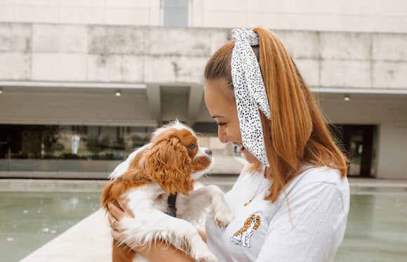 cavalier king charles spaniel tshirt