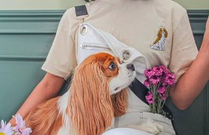 cavalier king charles spaniel tshirt