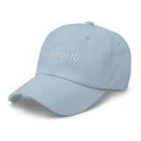 cavaholic university | cavalier king charles spaniel dad hat