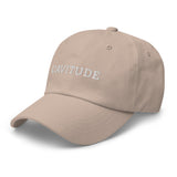cavitude university | cavalier king charles spaniel dad hat