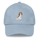 team blenheim | dad hat