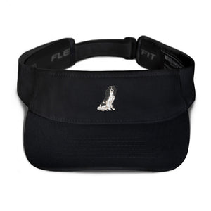 team tri | visor