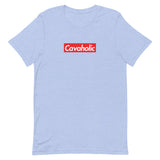 officially a cavaholic | unisex cavalier king charles spaniel t-shirt
