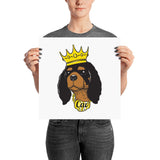 black & tan king | poster