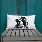 cavitude | pillow