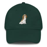 team blenheim | dad hat