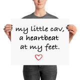 my little cav | poster