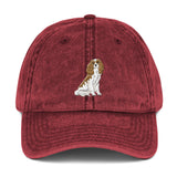 team blenheim | vintage dad hat
