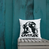 cavitude | pillow