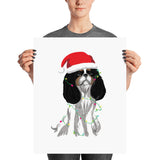 tri christmas cav | poster