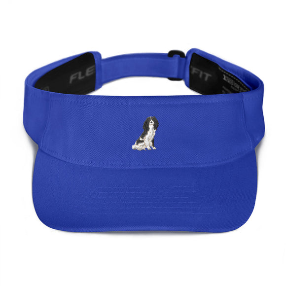 team tri | visor