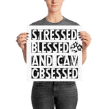cav-obsessed | poster
