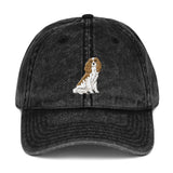team blenheim | vintage dad hat
