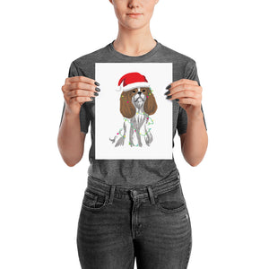 blenheim christmas cav | poster