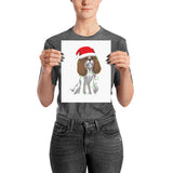 blenheim christmas cav | poster