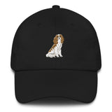 team blenheim | dad hat