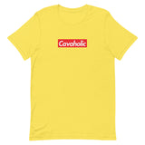 officially a cavaholic | unisex cavalier king charles spaniel t-shirt