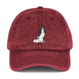 team tri | vintage dad hat