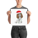 blenheim christmas cav | poster