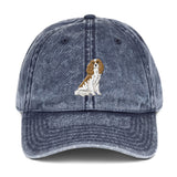 team blenheim | vintage dad hat